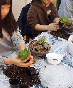 자유학년제 직업체험프로그램 플로리스트체험 다육정원16화기3