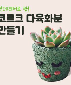 자유학년제 진로직업 방문체험 main콜크화분