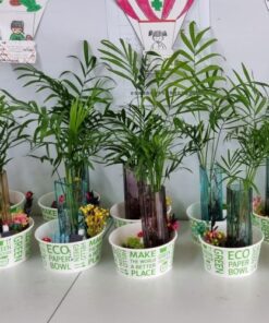 Alternative view of 에코탄스톤 (수경식물)
