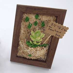 진로직업 방문체험 자유학년제 main 액자토피어리