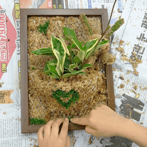 자유학기제 진로직업 방문체험 main 토피어리 디자이너