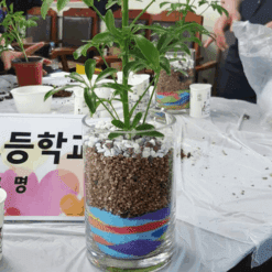 자유학년제 직업체험프로그램 플로리스트체험 테라리움 색모래3