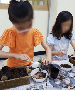 자유학년제 직업체험프로그램 플로리스트체험 다육정원 우드박스1
