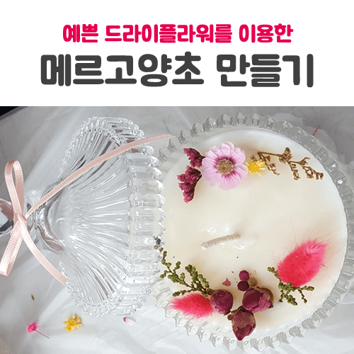 진로직업 방문체험 메르고양초_1_main