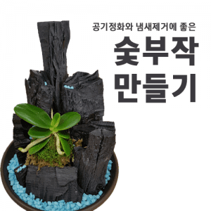 진로직업 방문체험 자연/생태체험프로그램 숯부작만들기_main