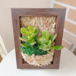 자유학년제 직업체험프로그램 토피어리디자이너체험2