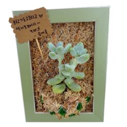 자유학년제 직업체험프로그램 토피어리디자이너체험3