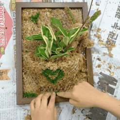 자유학년제 직업체험프로그램 토피어리디자이너체험6