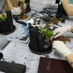 자유학년제 직업체험프로그램 원예치료사체험4