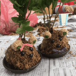 진로직업 방문체험 생태 잔디인형토피어리5