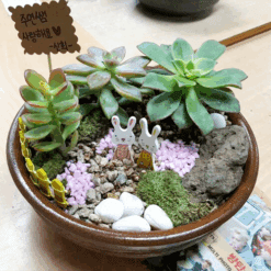 자유학년제 직업체험프로그램 플로리스트체험 다육정원16화기1