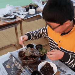 자유학년제 직업체험프로그램 플로리스트체험 다육정원16화기2