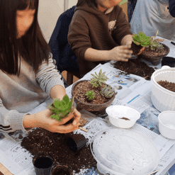 자유학년제 직업체험프로그램 플로리스트체험 다육정원16화기3