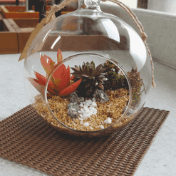 자유학년제 직업체험프로그램 플로리스트체험 행잉플라워다육2