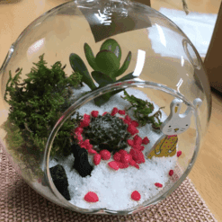 자유학년제 직업체험프로그램 플로리스트체험 행잉플라워다육3