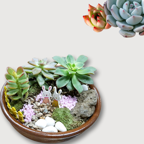 행복한체험숲