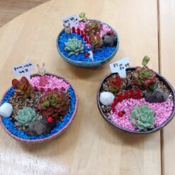 자유학년제 진로직업 방문체험 main_16화기다육정원10