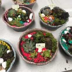 자유학기제 진로직업 방문체험 main_16화기다육정원