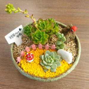 자유학년제 진로직업 방문체험 main_16화기다육정원9