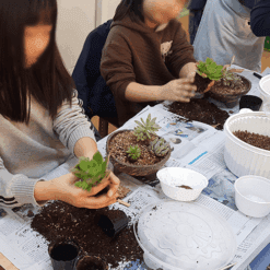 진로직업 방문체험 자연/생태체험프로그램 다육정원16cm화기2