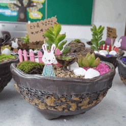 진로직업 방문체험 자연/생태체험프로그램 다육정원16cm화기4