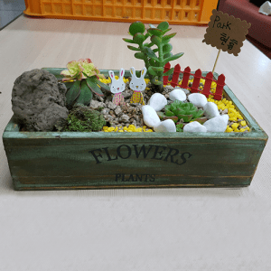 진로직업 방문체험 자유학년제 main 다육정원_우드박스만들기