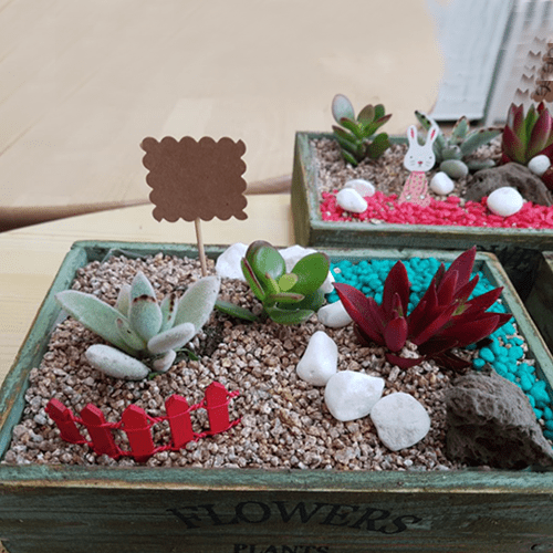 진로직업 방문체험 자유학년제main 다육정원_우드박스만들기