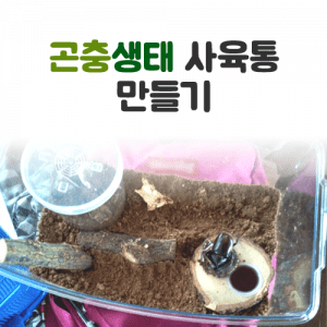 진로직업 방문체험 곤충사육통_main