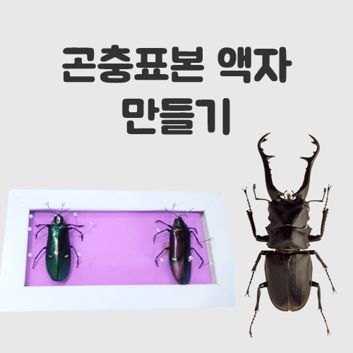 행복한체험숲
