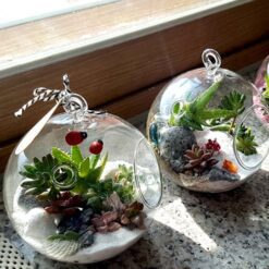 자유학년제 진로직업 방문체험 main_행잉테라리움(유리볼)1