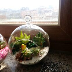 자유학년제 진로직업 방문체험 main_행잉테라리움(유리볼)10