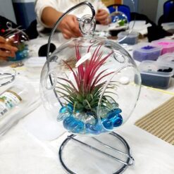 자유학년제 진로직업 방문체험 main_행잉테라리움(유리볼)2