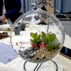 자유학년제 진로직업 방문체험 main_행잉테라리움(유리볼)4