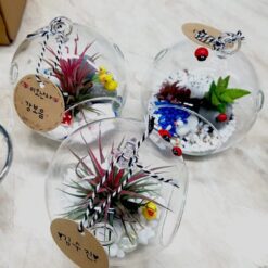 자유학년제 진로직업 방문체험 main_행잉테라리움(유리볼)5