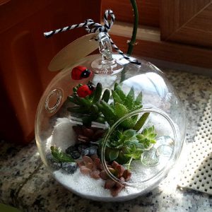 자유학년제 진로직업 방문체험 main_행잉테라리움(유리볼)9