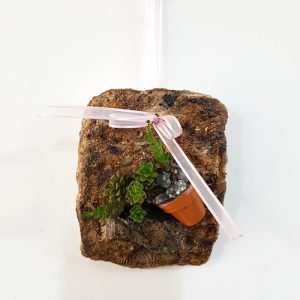 자유학년제 진로직업 방문체험 main_에코탄,스톤가드닝