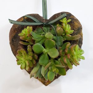 자유학년제 진로직업 방문체험 main_에코탄,스톤가드닝4