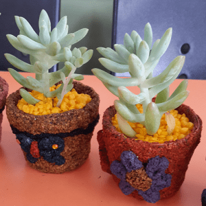 자유학년제 진로직업 방문체험 main콜크화분1