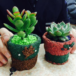 자유학년제 진로직업 방문체험 main콜크화분2