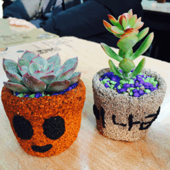 자유학년제 진로직업 방문체험 main콜크화분3