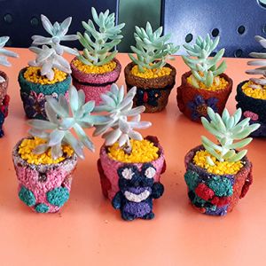 자유학년제 진로직업 방문체험 main콜크화분4