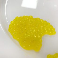 자유학년제 진로직업 방문체험 main_분자요리