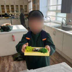 자유학년제 진로직업 방문체험 main곤충표본액자