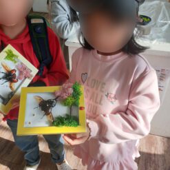 자유학년제 진로직업 방문체험 main곤충표본액자