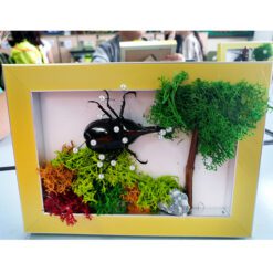 자유학년제 진로직업 방문체험 main곤충표본액자(모스)