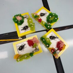 자유학년제 진로직업 방문체험 main곤충표본액자(모스)