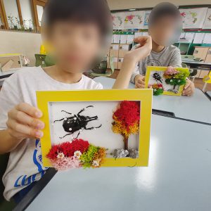 자유학년제 진로직업 방문체험 main곤충표본액자(모스)