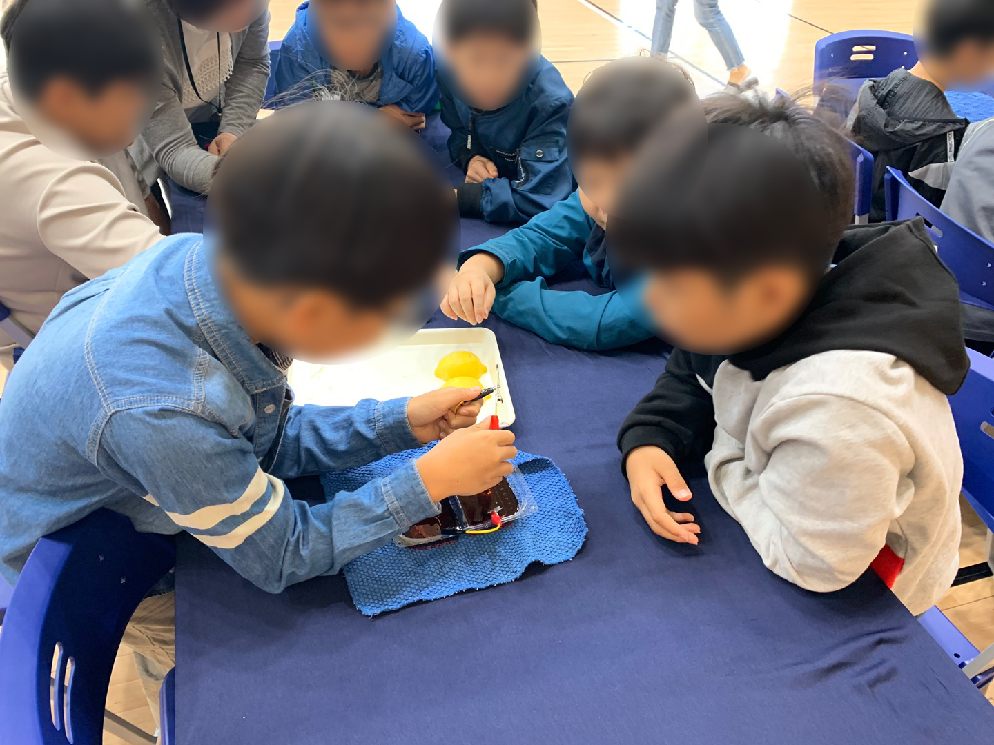 자유학년제 진로직업 방문체험 용지초등학교