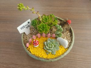 다육정원(원형화기) 만들기