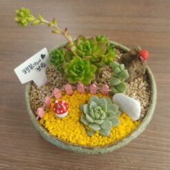 다육정원(원형화기) 만들기